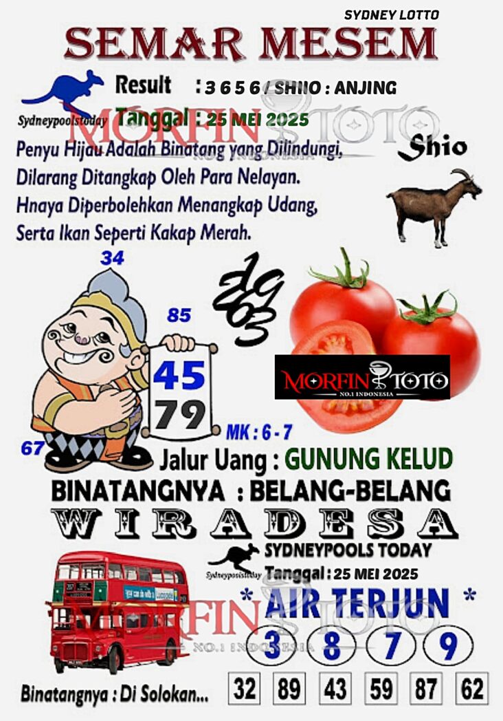 SYAIR TOGEL SEMAR MESEM SYDNEY LOTTO 25 MEI 2025